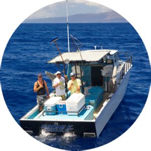 dlnr fishing report|Commercial Fishing Report Online System Now Available.